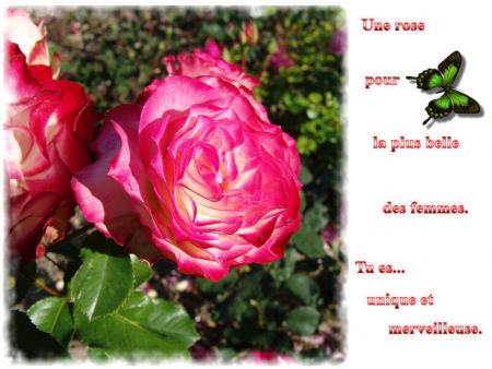 à toute les mamans bisoussssssss